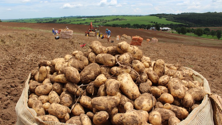 Preços recebidos por agropecuaristas de SP sobem 0,11% em novembro