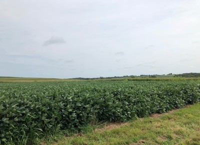 Produtores dos EUA demonstram otimismo com nova rodada de pagamentos do USDA