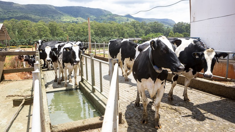 Valor da produção agropecuária deve crescer 2,06% em 2019