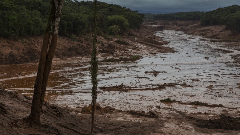 Minas levanta prejuízos da agropecuária após rompimento de barragem
