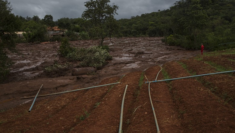 Água do Paraopeba apresenta risco à saúde humana e animal