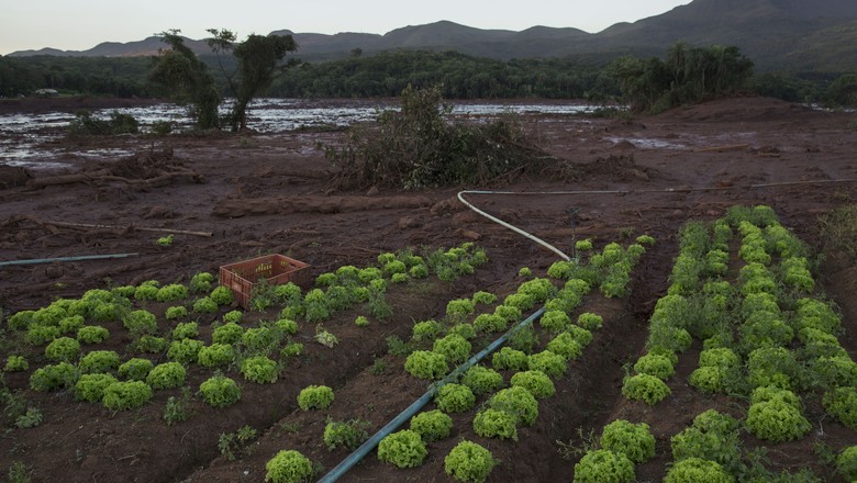 Agricultores prejudicados por lama de Brumadinho podem ser até 400