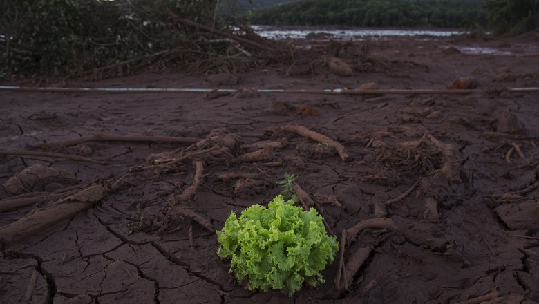 Os impactos do rompimento da barragem a produtores rurais de Brumadinho