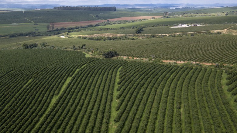 Municípios do agronegócio lideram crescimento econômico, diz Ministério