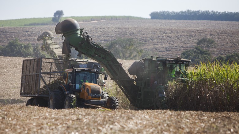Unica: com safra quase encerrada, moagem cai 5,72% na 2ª quinzena de dezembro