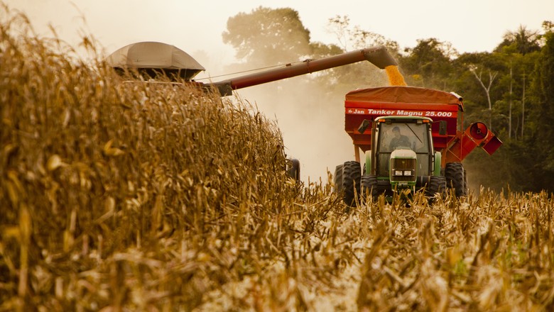 Venda antecipada da safra 2018/19 de milho atinge 40% em MT
