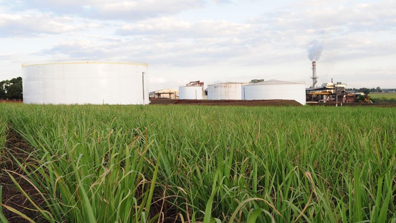 ANP aprova credenciamento de primeira certificadora do RenovaBio