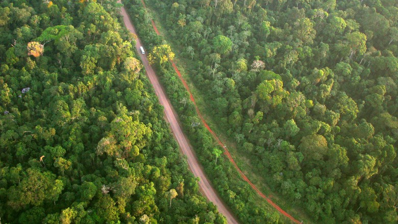 UFSCar abre inscrições em cursos com foco em sustentabilidade