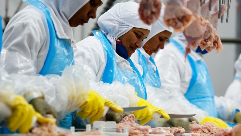 Frango: tarifas da China sobre produto brasileiro podem beneficiar EUA