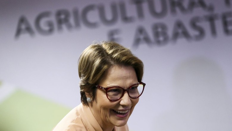 Ministra da Agricultura nega redução em demarcação de terras indígenas