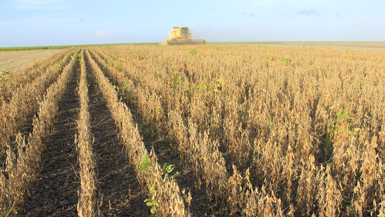 Com clima favorável, exportação de soja da Argentina pode alcançar US$ 18 bi