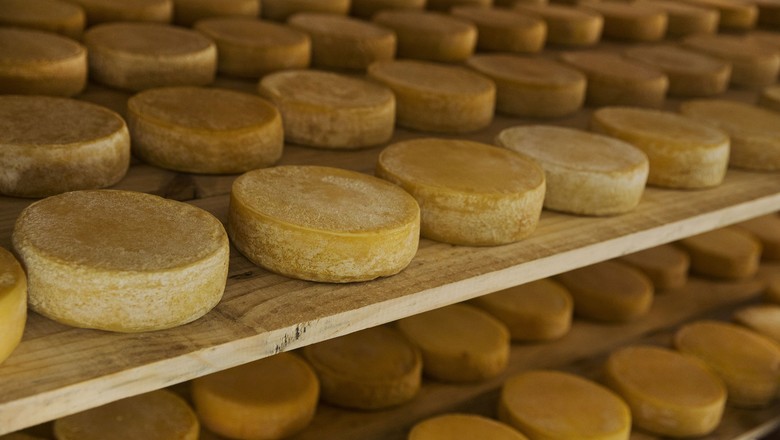 Produtores querem que governo distribua excedente de queijo nos EUA