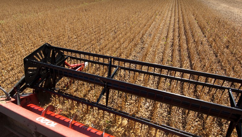 Colheita de soja chega a 19% de área plantada no Brasil