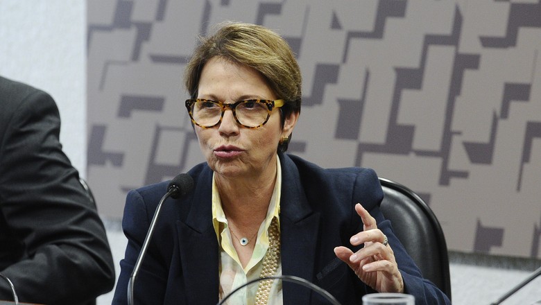 Tereza Cristina: projeto de reforma da Previdência agrada ao setor