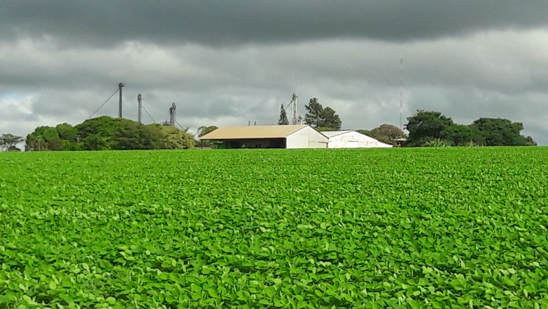 Inundações no Meio-Oeste dos EUA podem favorecer cultivo de soja