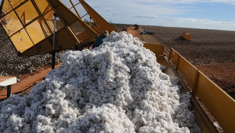 Exportação de algodão sobe 60,47% em receita em fevereiro, diz Secex