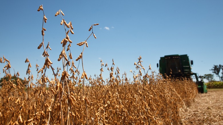 Colheita de soja atinge 63% da área plantada no Brasil em 2018/19,  diz AgRural