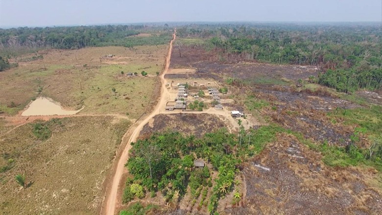 Investidores pedem fim de desmatamento ligado à soja na América do Sul
